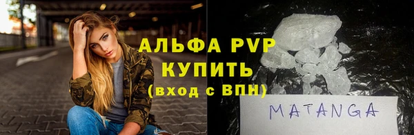 спиды Болотное