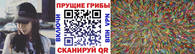 Псилоцибиновые грибы Psilocybine cubensis сколько стоит Усть-Лабинск